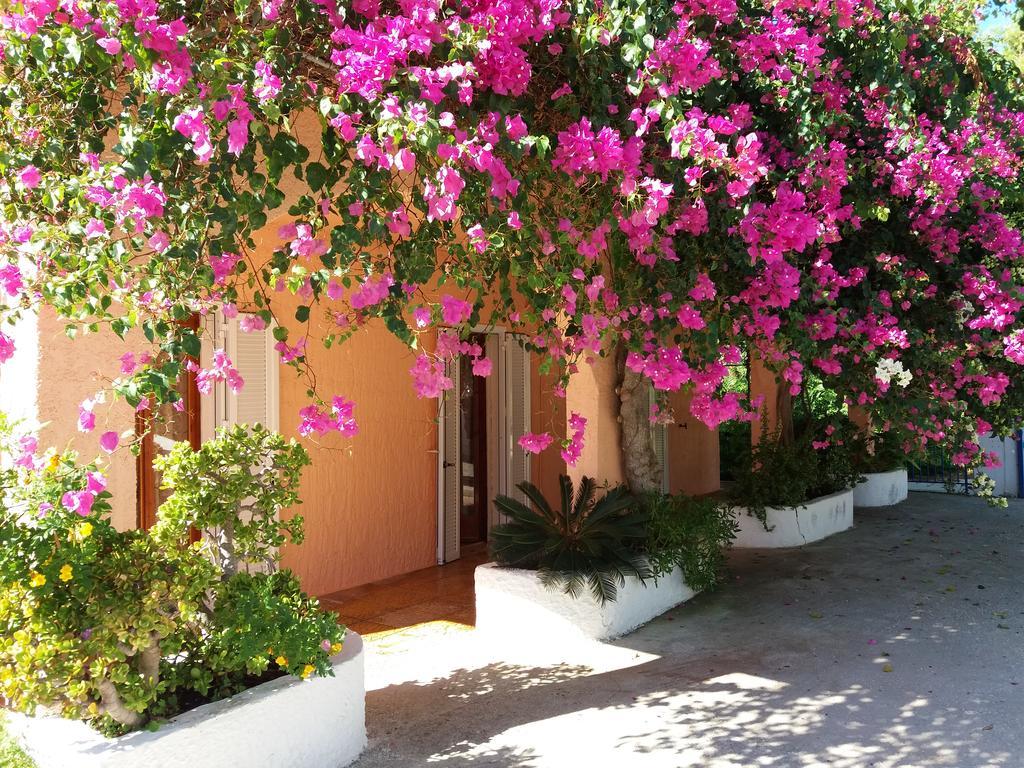 Constantinos Apartments Ласі Екстер'єр фото